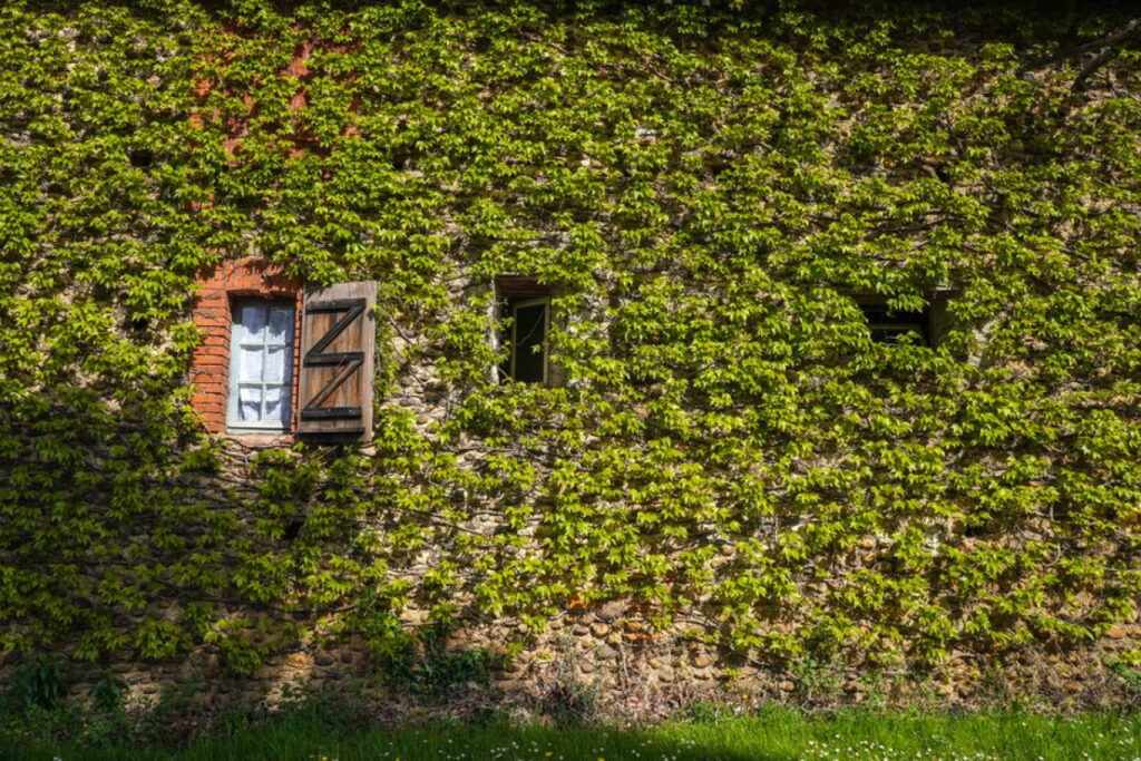 Votre maison, votre havre de paix 42 La xalofa : redécouvrir l’âme rustique de la maison méditerranéenne