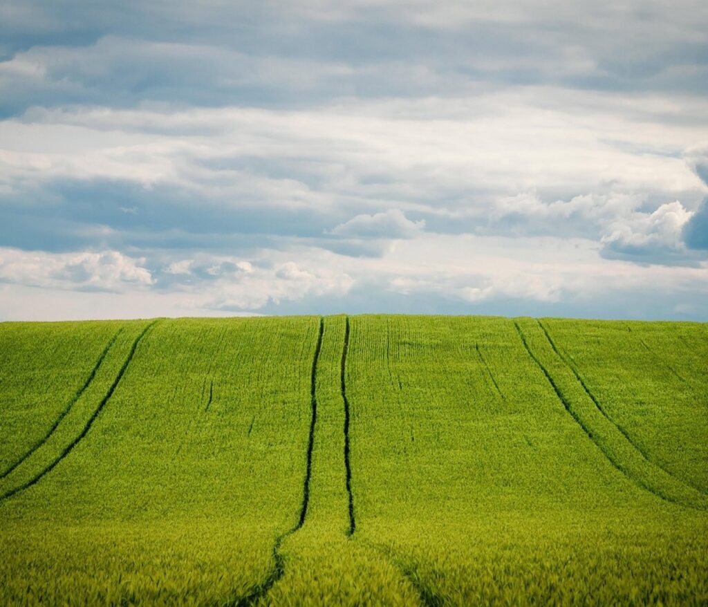 Grain beauté qui gratte : mythes et réalité