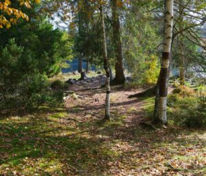 Mon retour d’expérience avec la Maison la Nature et l’Environnement l’Isère